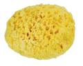 Nursing,&nbsp;B�b� Confort&nbsp;Newborn natural sponge