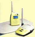 Indoor Safety,&nbsp;Beghelli&nbsp;Baby`s voice control